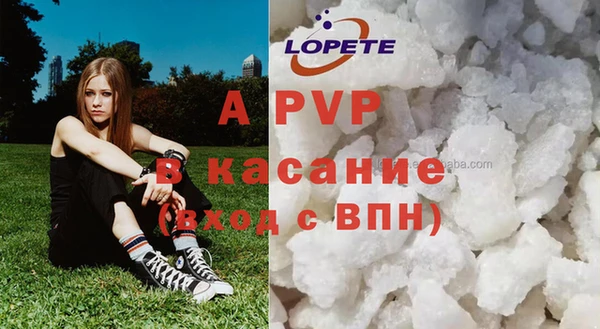 PSILOCYBIN Елизово