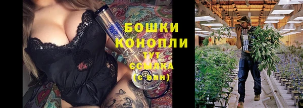 тгк Елабуга