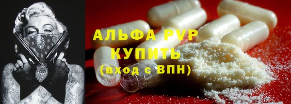 PSILOCYBIN Елизово